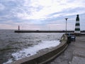 Curonian Lagoon shore, Lithuania Royalty Free Stock Photo