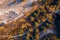 Curonian Spit from above Kaliningrad Russia, aerial top view of national park Royalty Free Stock Photo