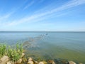 Curonian spit and birds , Lithuania