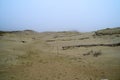The Curonian Spit in the fog