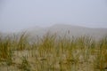 The Curonian Spit in the fog