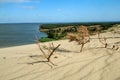 The Curonian Spit Kursiu Nerija National Park in Lithuania Royalty Free Stock Photo