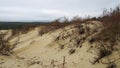 Curonian Spit sand dunes Royalty Free Stock Photo