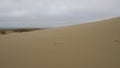 Curonian Spit sand dunes in Nida, Lithuania Royalty Free Stock Photo