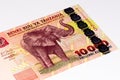 Currancy banknote of Africa