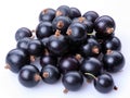 Currant black