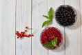 Currant black and red. Fresh organic currant from village garden. horizontal shot. Royalty Free Stock Photo