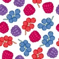 Currant and blackberry seamless pattern