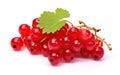 Currant Essence Unveiled on White Background