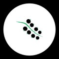 Currant fruit simple black and green icon eps10