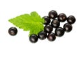 Currant with green leaf isolated on white. Fresh black berry cu Royalty Free Stock Photo