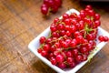 Currant, healthy forest berry fruit - healthy food