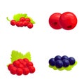 Currant icons set cartoon vector. Red and black currant