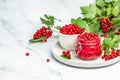 Currant jam with fresh red currants on a light background. Homemade jam. Glass jar with red currant jam. Preserved berry Royalty Free Stock Photo