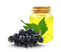 currant oil