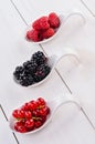 Currant, raspberry and blackberries Royalty Free Stock Photo