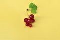 Currant red with a leaf on a yellow background. Royalty Free Stock Photo