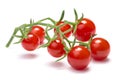 Currant sweet pea tomatoes, paths Royalty Free Stock Photo