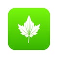 Currant tree leaf icon digital green