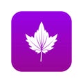 Currant tree leaf icon digital purple