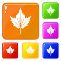 Currant tree leaf icons set vector color