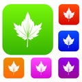 Currant tree leaf set color collection