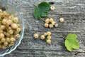 Fresh berries of white currant lie on a glass plate and are scattered near it.