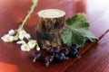 Currants and daisies on the table. Still life. Royalty Free Stock Photo