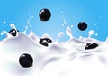 Currants falling into milk Royalty Free Stock Photo