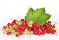 Currants