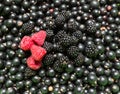 Currants raspberries and blackberries like background