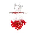 Currants splash on water, isolated on white background