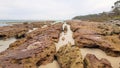 Currarong Rock Pools and Eroded Rocks Royalty Free Stock Photo