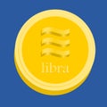 Currency money coin Libra gold vector