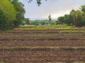 Land preparation for agriculture, cultivation of crops Royalty Free Stock Photo