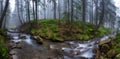 The current river the Prut in a fog Royalty Free Stock Photo