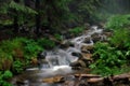 The current river the Prut in a fog Royalty Free Stock Photo