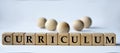 CURRICULUM - word on a wooden block on a white background with wooden balls