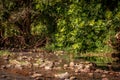 Currumbin Rock Pools in Gold Coast, Queensland, Australia Royalty Free Stock Photo