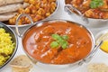 Curry Banquet Selection Royalty Free Stock Photo