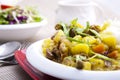 Curry beef and vegetable Royalty Free Stock Photo