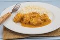 Curry chicken meatball with rice Royalty Free Stock Photo