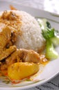 Curry chicken rice