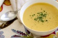 Curry Coconut Butternut Squash Soup Royalty Free Stock Photo