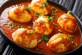 Curry egg recipe in spicy sauce close-up in a plate. horizontal Royalty Free Stock Photo