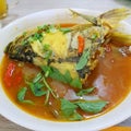 Curry the head of snapper with basil leaves Royalty Free Stock Photo