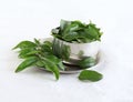 Curry Leaves in a Bowl on a Plate Royalty Free Stock Photo