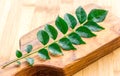 Curry Leaves on Wooden Board