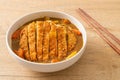 Curry ramen noodles with tonkatsu fried pork cutlet Royalty Free Stock Photo