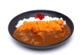 Curry Rice with Deep Fried Pork or Katsu-kare , Japanese style f Royalty Free Stock Photo